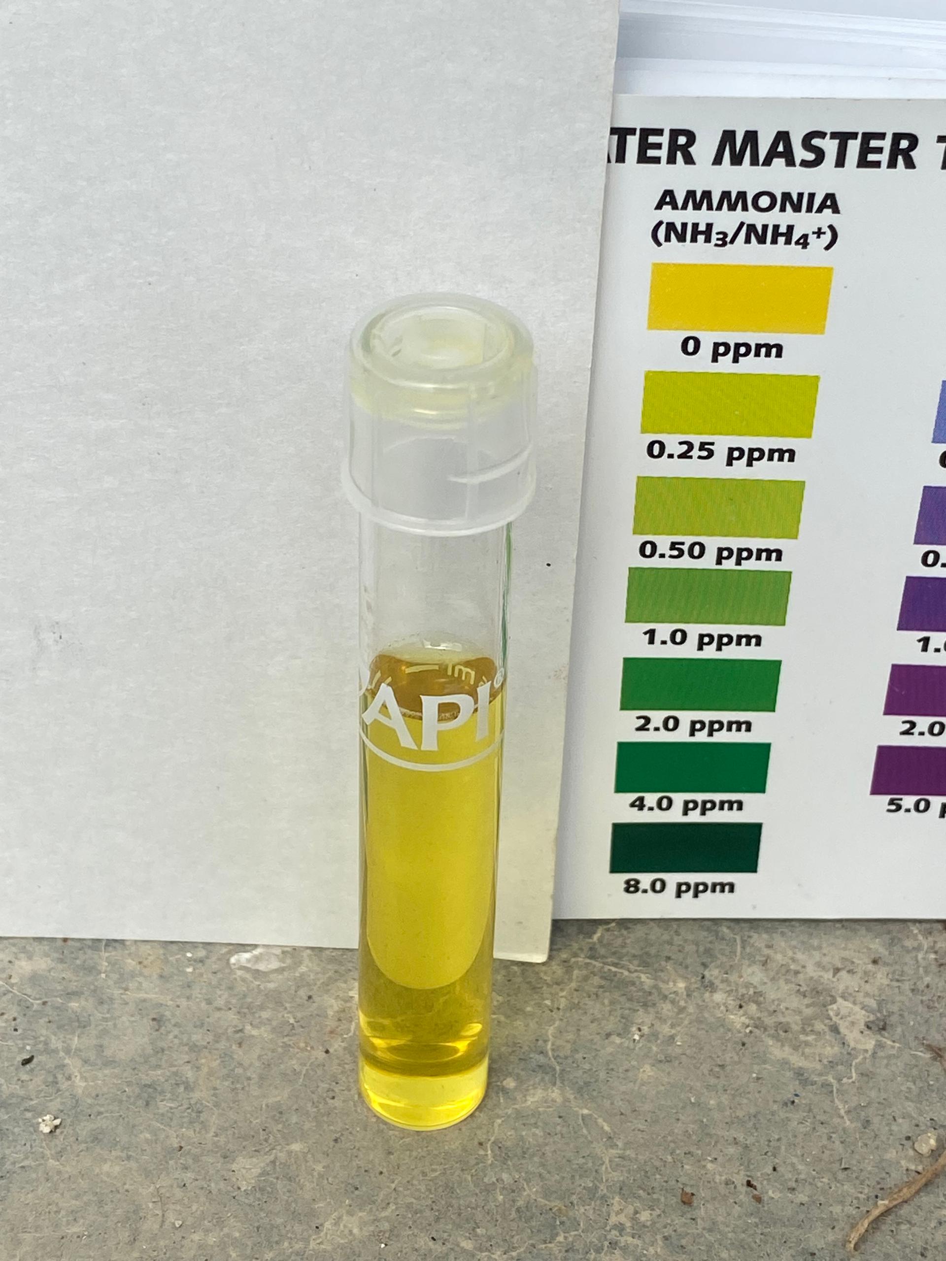 Ammonia Sample