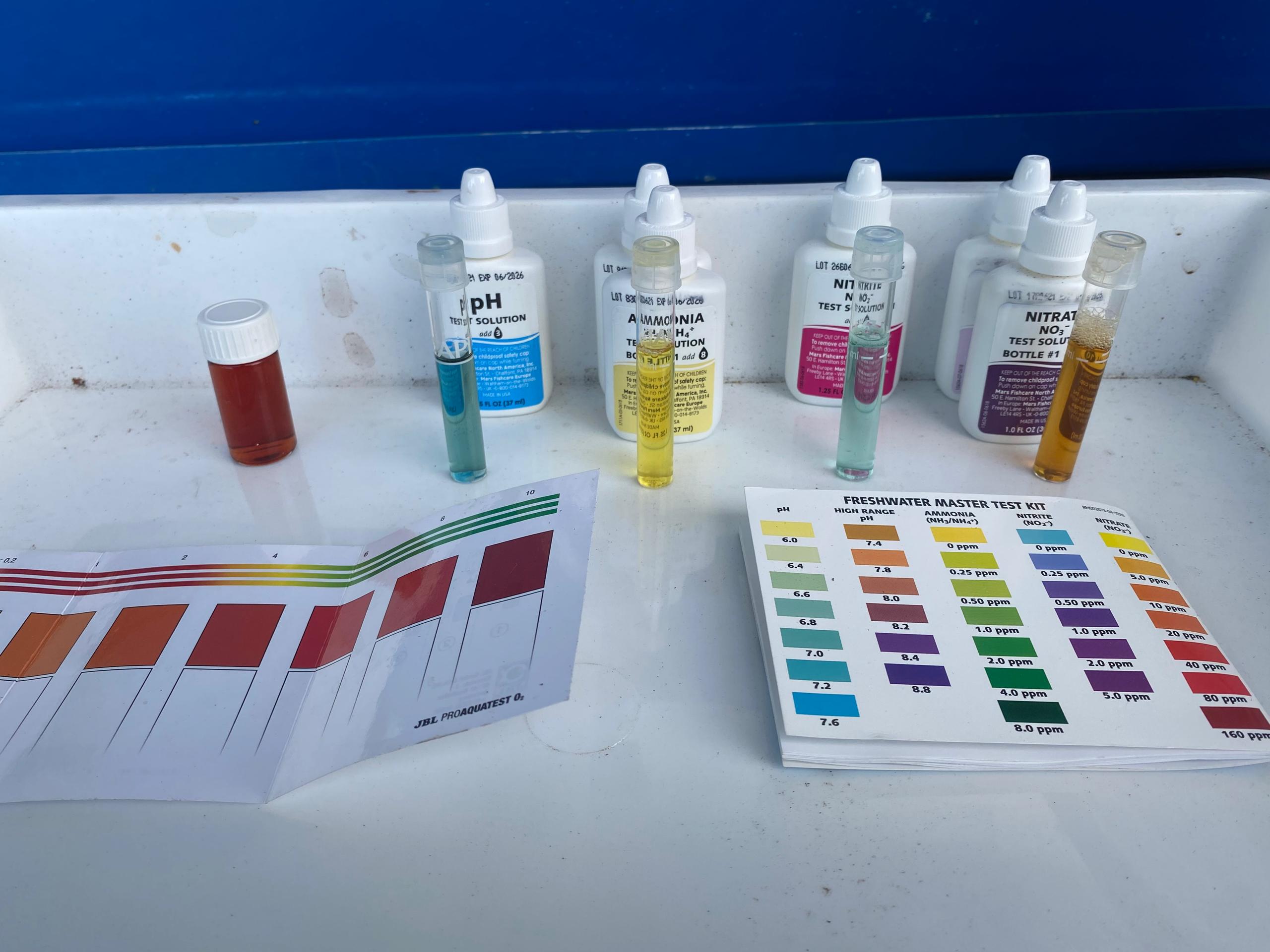 Test Kit